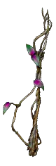 Wand