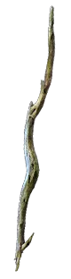 Staff